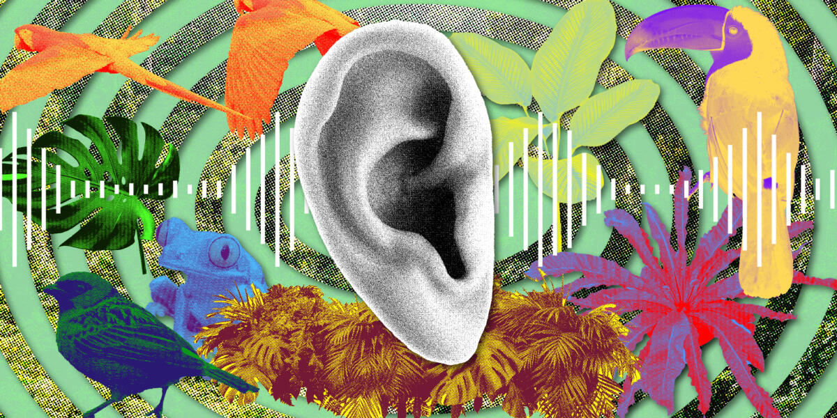 自然语言处理的应用场景 自然语言处理的应用场景